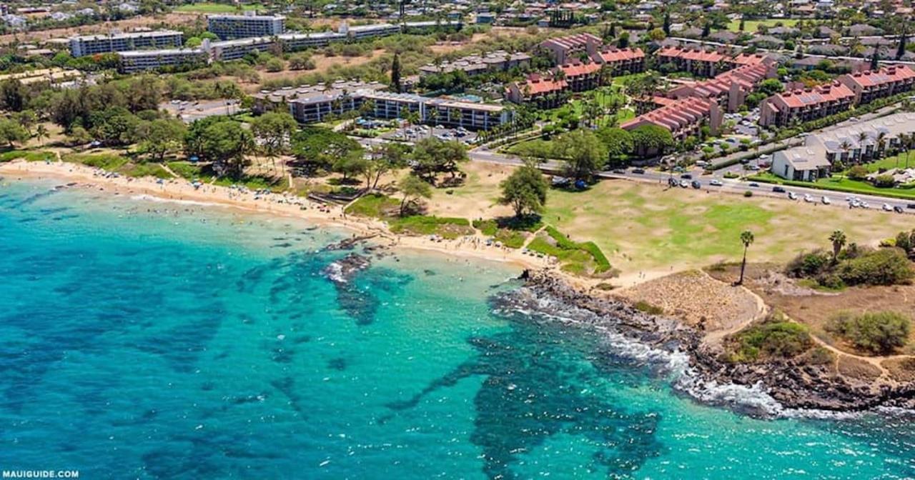 Penthouse 1 Bd King Suite With Ocean Views! Wailea  Ngoại thất bức ảnh