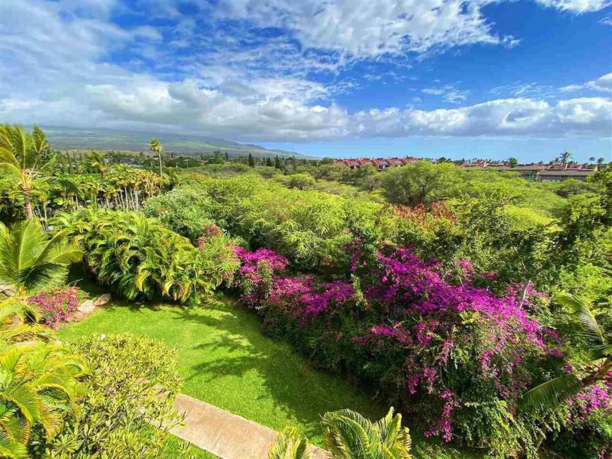 Penthouse 1 Bd King Suite With Ocean Views! Wailea  Ngoại thất bức ảnh